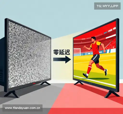 我们的核心竞争力